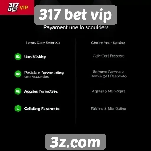 Métodos de pagamento aceitos no 317 bet vip